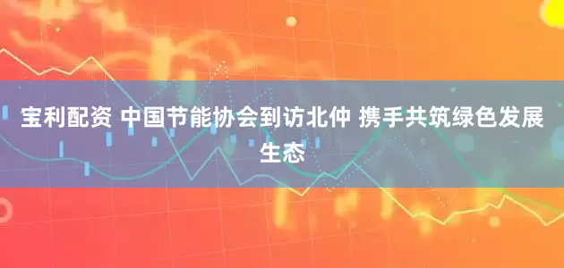 宝利配资 中国节能协会到访北仲 携手共筑绿色发展生态