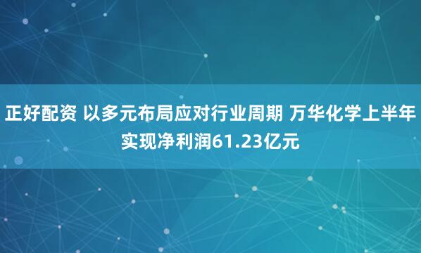 正好配资 以多元布局应对行业周期 万华化学上半年实现净利润61.23亿元